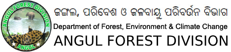 Dfoangul