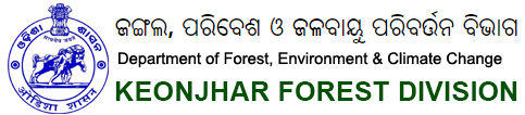 Dfokeonjhar